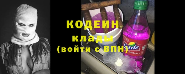 сатива Верея