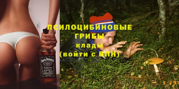 сатива Верея