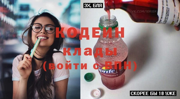 сатива Верея