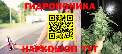 ГАЛЛЮЦИНОГЕННЫЕ ГРИБЫ Краснокаменск