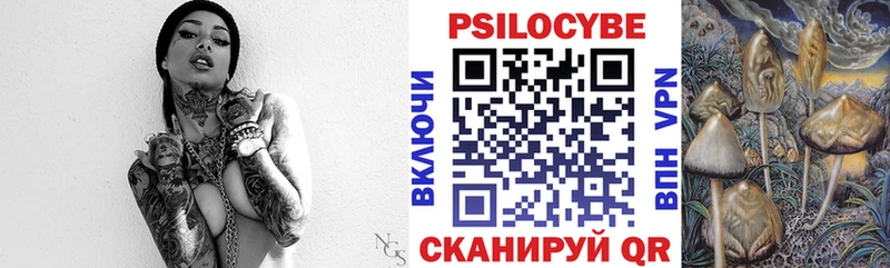 Псилоцибиновые грибы Cubensis наркошоп Верхняя Салда