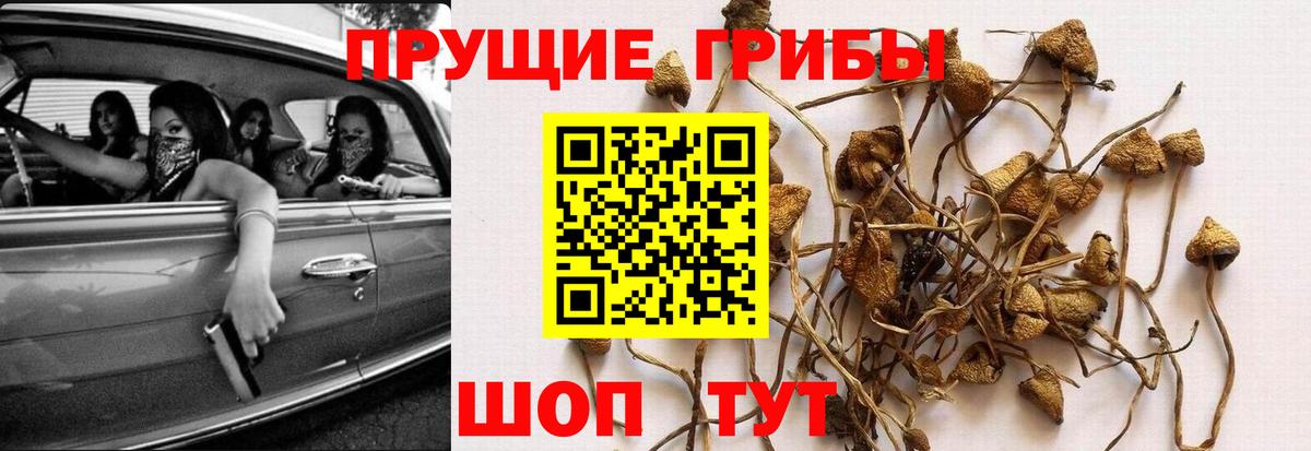 Галлюциногенные грибы мухоморы Верхняя Салда